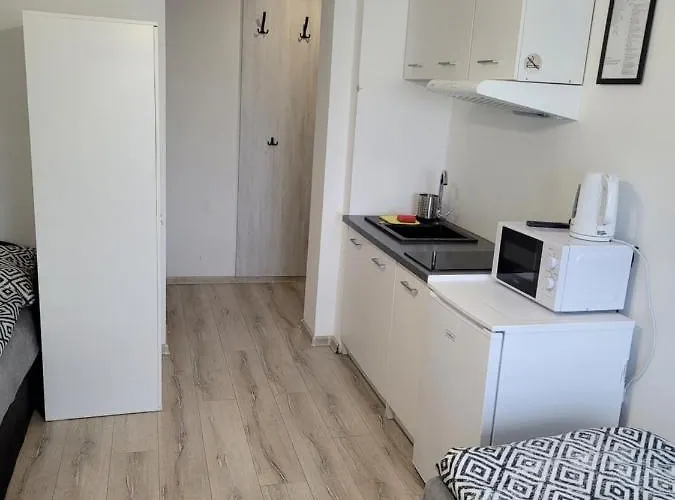 Paloma11 * 克罗托申